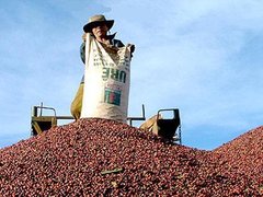 Ảnh bìa bài viết 101470