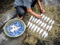 Đọc nhanh bài viết 71162