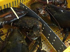 Ảnh bìa bài viết 89039