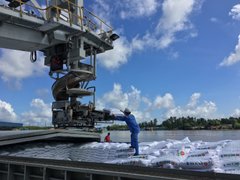 Ảnh bìa bài viết 82574