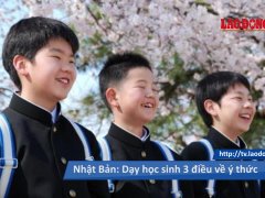 Đọc nhanh bài viết 45986