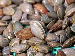 Ảnh bìa bài viết 100328