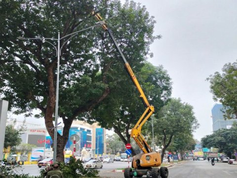 Ảnh bài viết