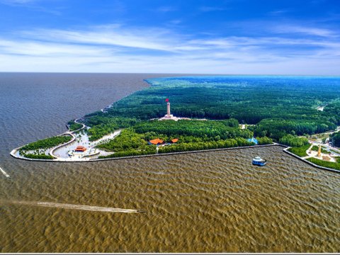 Ảnh bài viết