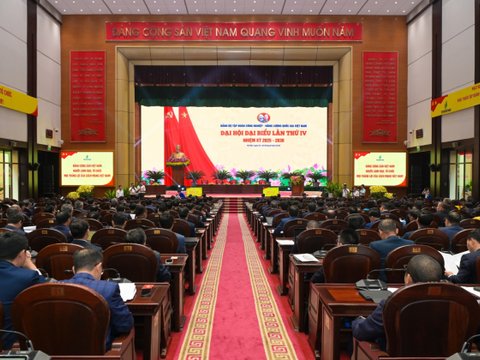 Ảnh bài viết