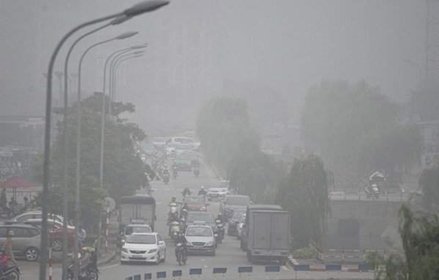 Ảnh bài viết