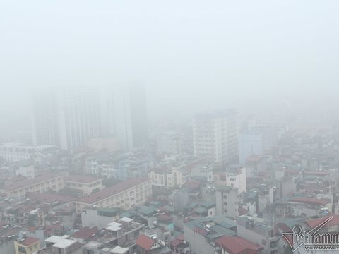 Ảnh bài viết