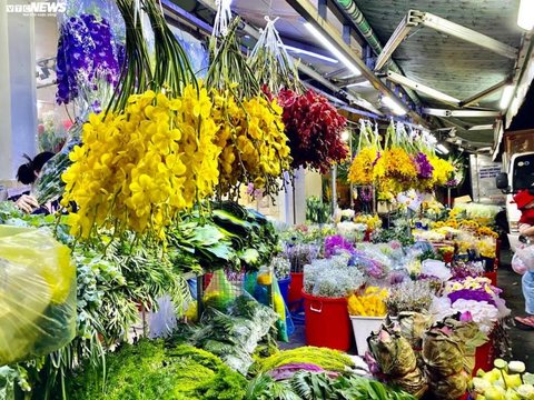 Ảnh bài viết