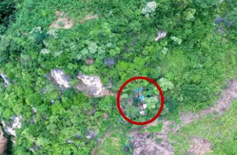 Ảnh bài viết