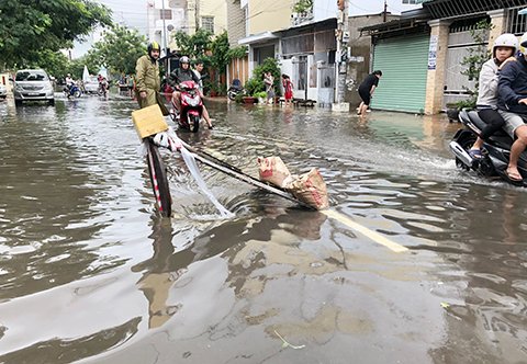 Ảnh bài viết