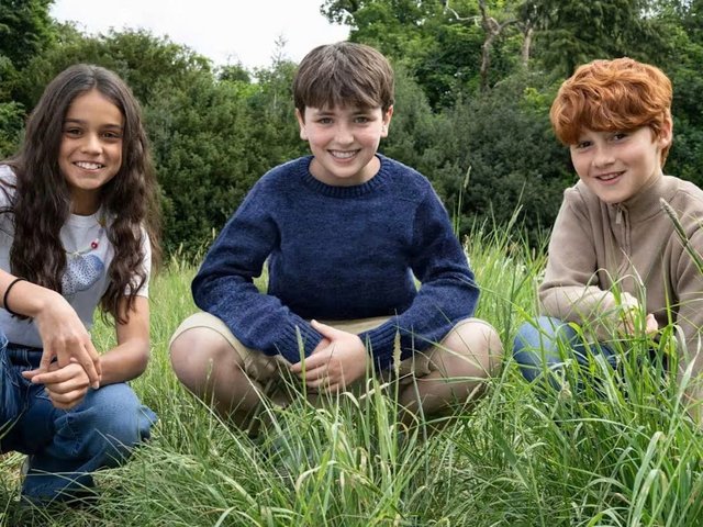 Đọc nhanh bài viết #212265