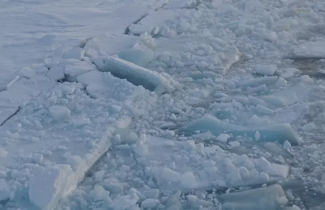 Đọc nhanh bài viết #212339