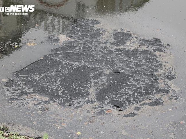 Đọc nhanh bài viết #212466