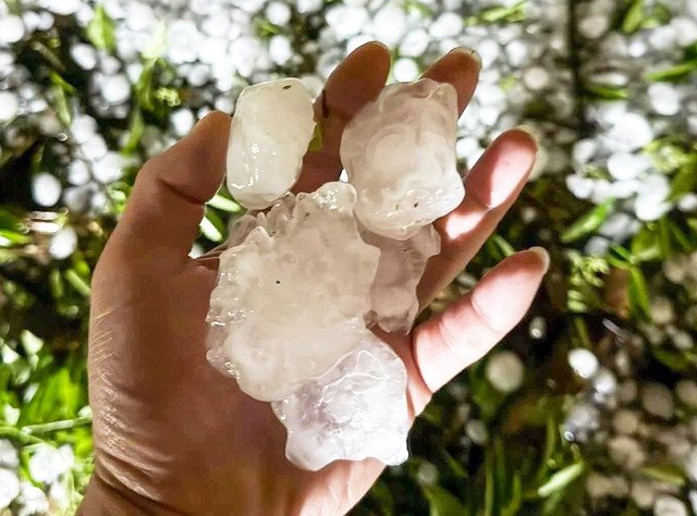 Đọc nhanh bài viết #213021