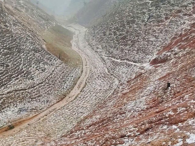 Đọc nhanh bài viết #213109