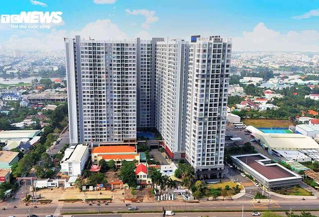 Đọc nhanh bài viết #214546