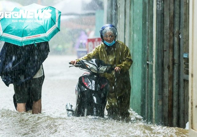 Đọc nhanh bài viết #217351