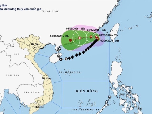 Đọc nhanh bài viết #218343