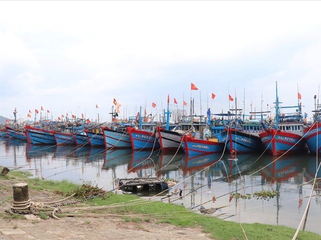 Đọc nhanh bài viết #218553
