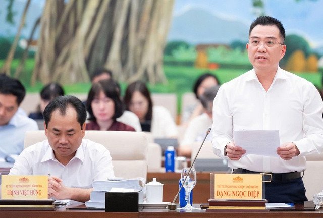 Đọc nhanh bài viết #219423