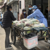 Thượng Hải trấn an người dân vì thiếu hụt nhu yếu phẩm