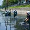 Giải pháp nào cho công tác xử lý nước thải sinh hoạt tại các đô thị của Việt Nam?
