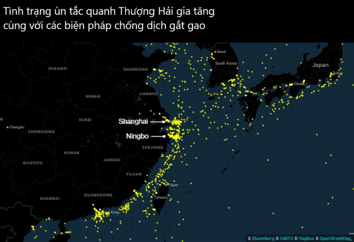 tắc cảng biển