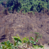 Sở NN&PTNT Quảng Nam nói gì về việc giảm hơn 2.850ha rừng tự nhiên?