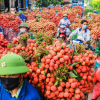 Giải pháp nào để hàng Việt đứng vững tại thị trường nội địa?
