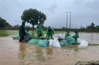 Ba người thiệt mạng, gần 10.000 cây trồng bị ngập úng do mưa lũ lớn ở Bắc bộ