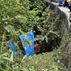 Vĩnh Phúc: Xe khách chở 30 người đâm vào ta luy, rơi xuống vực ở Tam Đảo