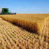 Nga tuyên bố chỉ xuất khẩu nông sản sang 'các nước thân thiện'