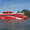 Quảng Ninh tạm ngừng cấp phép tàu du lịch biển từ 10h ngày 2/7