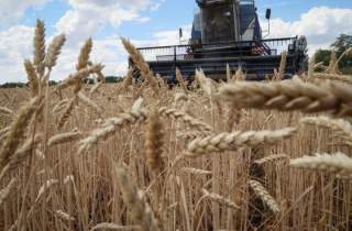 Nga và Ukraine ký thỏa thuận xuất khẩu ngũ cốc vào tuần tới