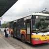 Hà Nội sẽ chỉ định thầu 5 tuyến buýt có trợ giá của Công ty Bắc Hà xin bỏ