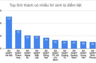 Hai năm liên tiếp, Hà Nội nhiều thí sinh dính điểm liệt nhất cả nước