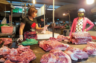 Vì sao giá thịt lợn tăng cao?