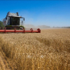 Thổ Nhĩ Kỳ công bố kế hoạch xuất khẩu ngũ cốc Ukraine