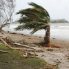 Cảnh báo tình trạng khẩn cấp về khí hậu ở các quốc đảo Thái Bình Dương