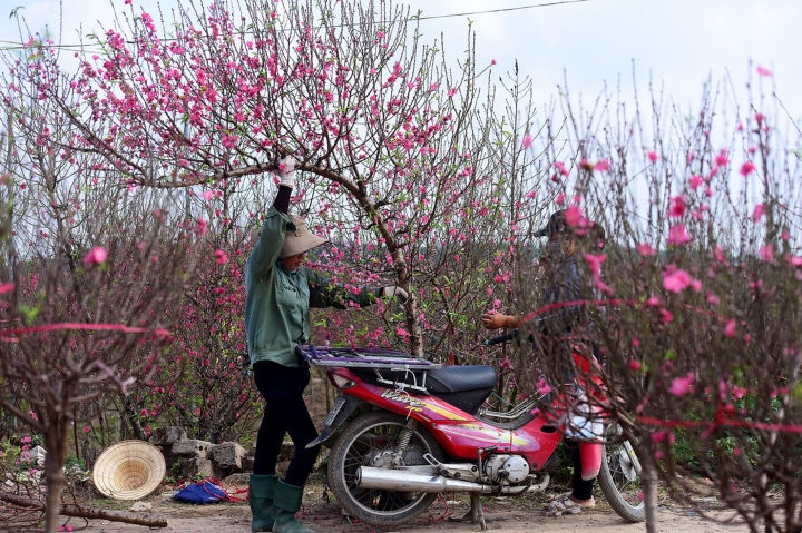 nghi-tet-2023-15211119