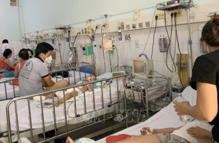 TP Hồ Chí Minh ghi nhận 21 trường hợp tử vong do sốt xuất huyết