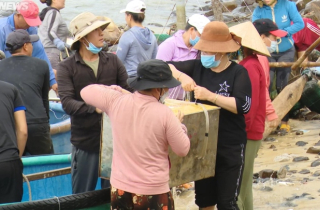 Phú Yên ban hành lệnh cấm biển, ngư dân nuôi tôm hùm khẩn trương 'chạy' bão