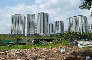 Chủ tịch Hà Nội yêu cầu sớm thu hồi 7 lô đất bỏ hoang ở Hoàng Mai để xây trường học