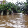 Hàng ngàn ngôi nhà ở Quảng Nam chìm trong biển nước, giao thông tê liệt