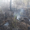 Huyện Sóc Sơn huy động các lực lượng dập lửa cứu rừng ngày Tết Dương lịch
