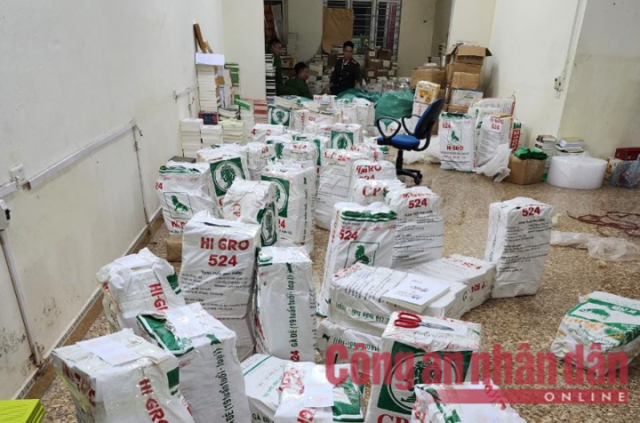 z4038929080074_9bd88e7fd1e580702-1673692487066