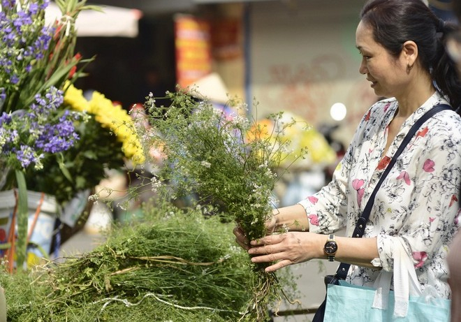 untitled-2-5186-6236