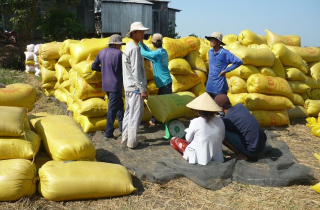 Nữ đầu bếp lừa đảo hơn 30 tỷ đồng