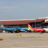 Khỉ xâm nhập sân bay Nội Bài đe dọa mất an toàn bay