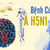 Viện Pasteur TP Hồ Chí Minh đề nghị triển khai gấp biện pháp phòng cúm H5N1